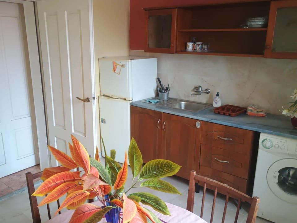 Kitchen or kitchenette, minibar, pet friendly