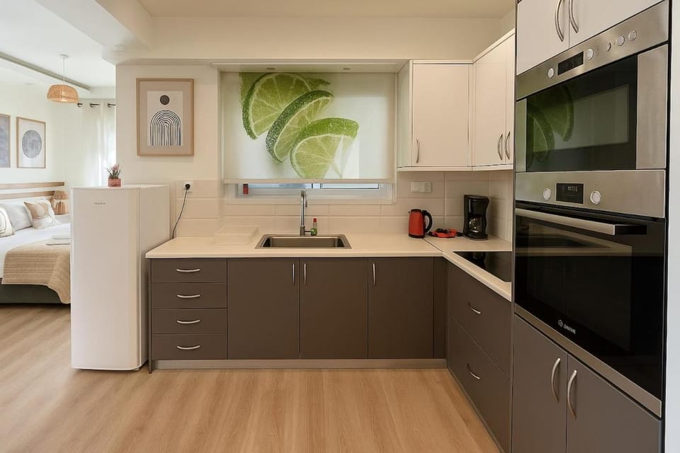 Καλαίσθητο Ηλιόλουστο Studio Apartment in Chania