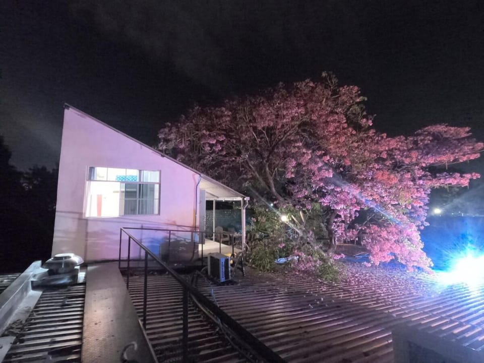 Night, Garden, Garden view