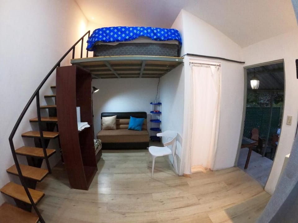 Bed, Living room, Photo of the whole room, Bedroom