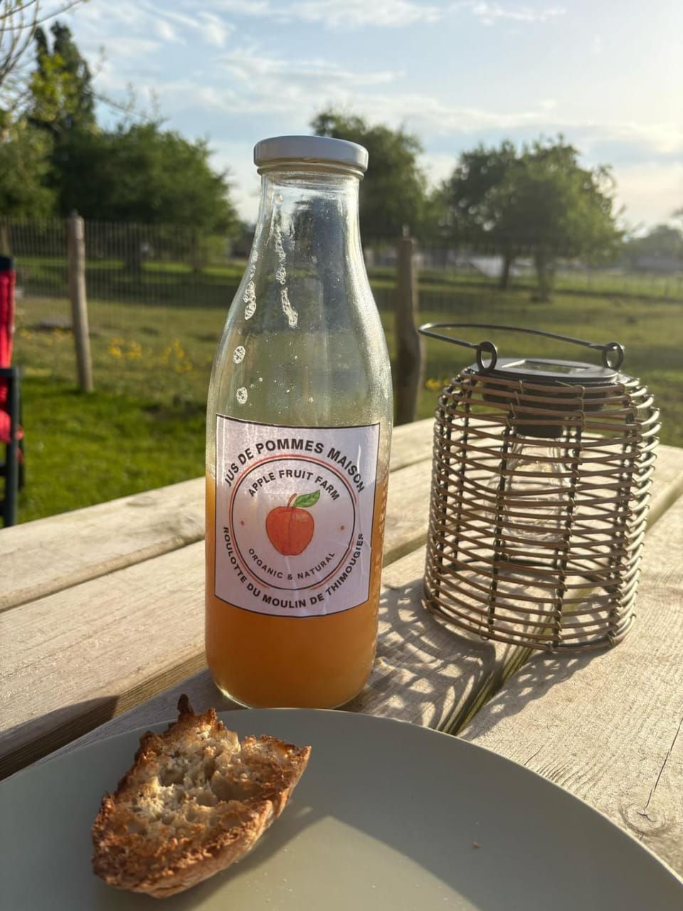 Natural landscape, Food and drinks, Breakfast