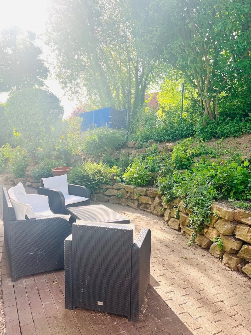 Garden, Seating area, Garden view