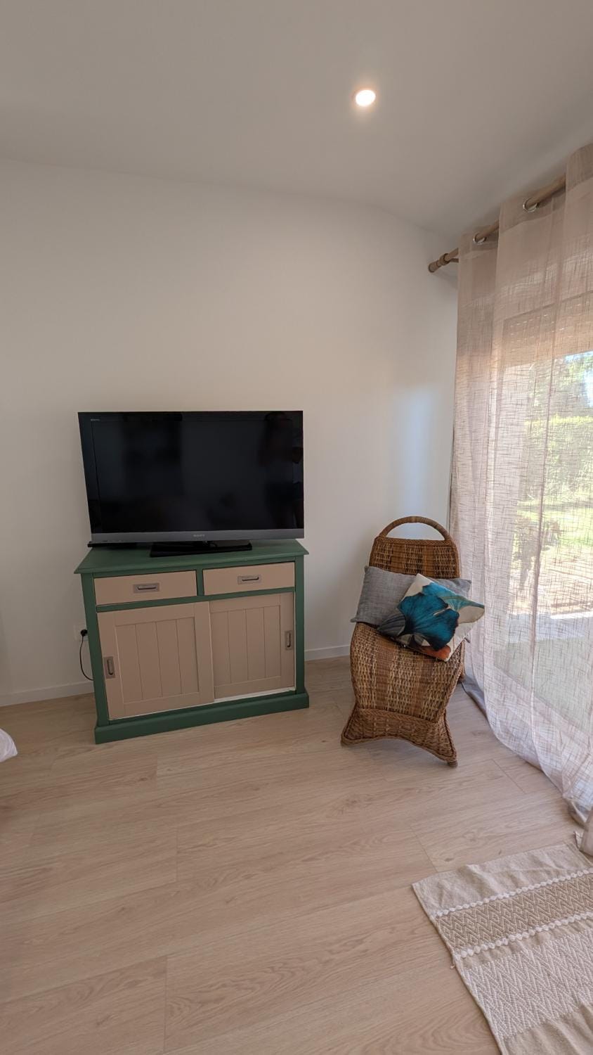 TV and multimedia