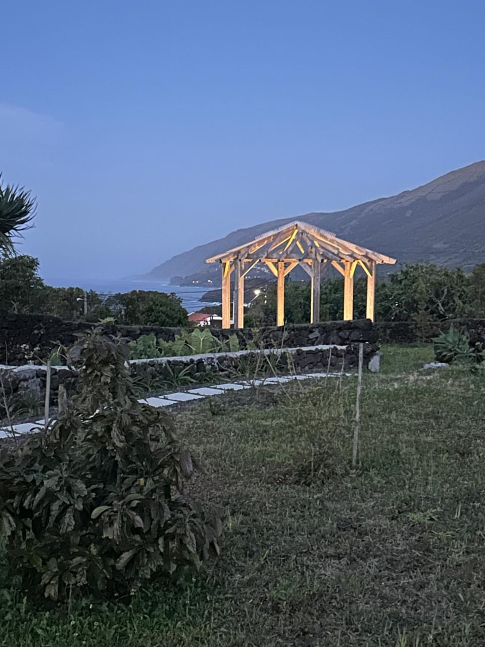 Garden view