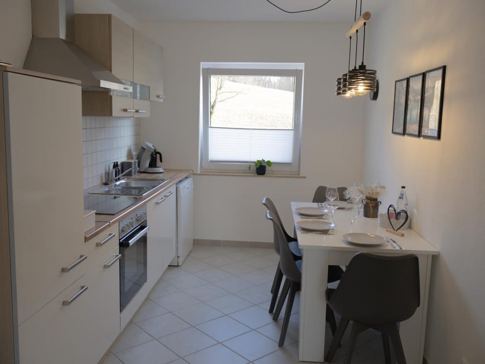 Kitchen or kitchenette, Dining area, dishwasher, stove