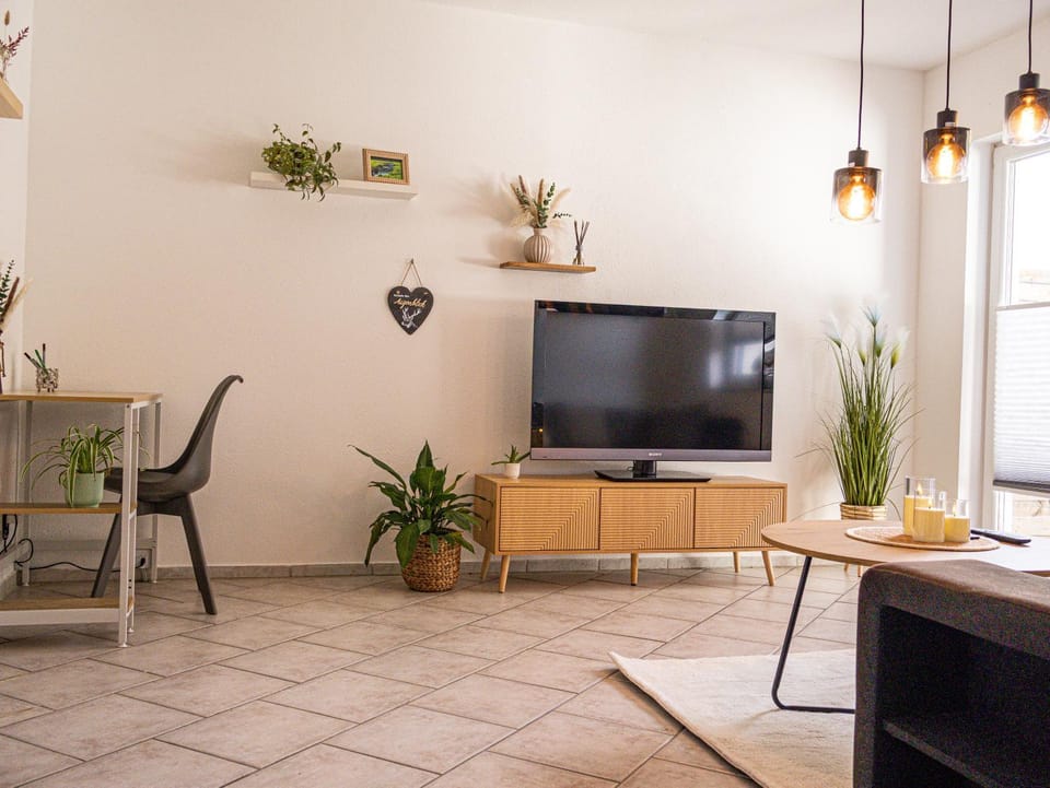 TV and multimedia