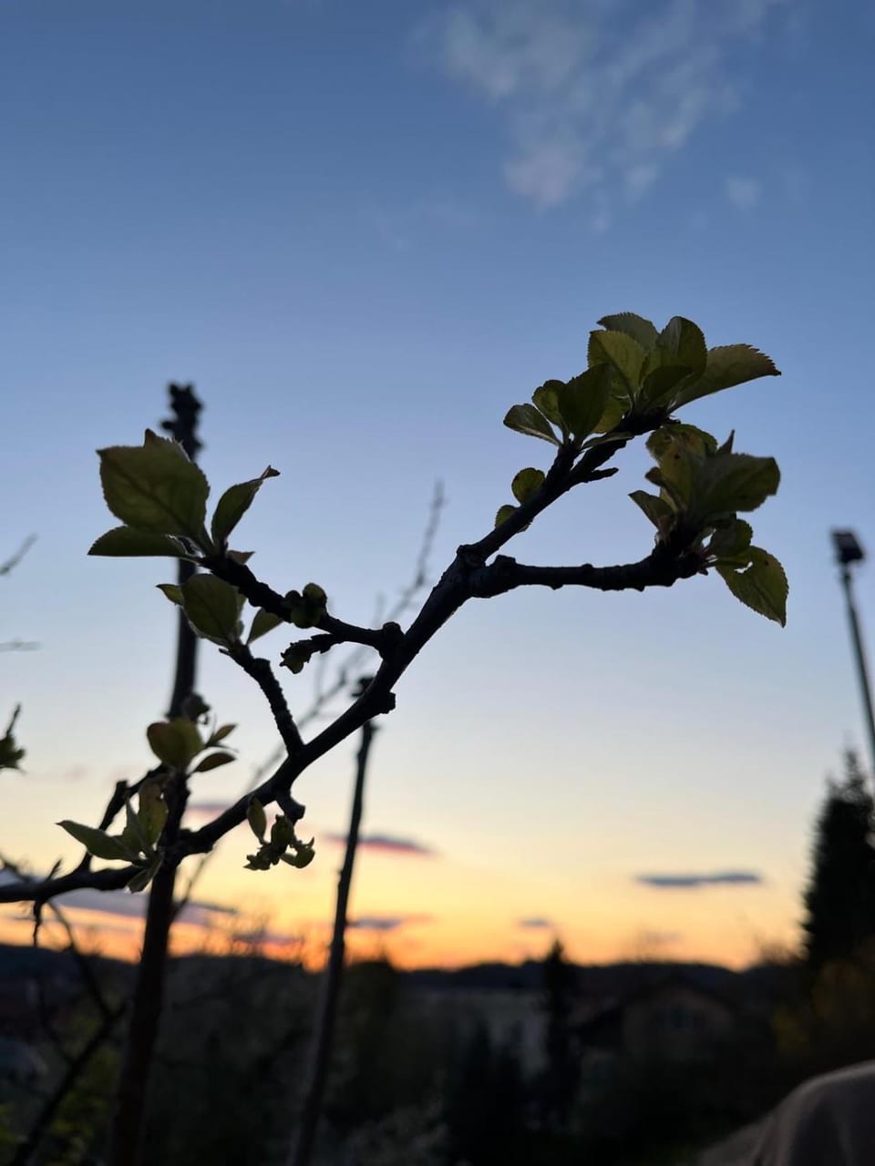 Seasons