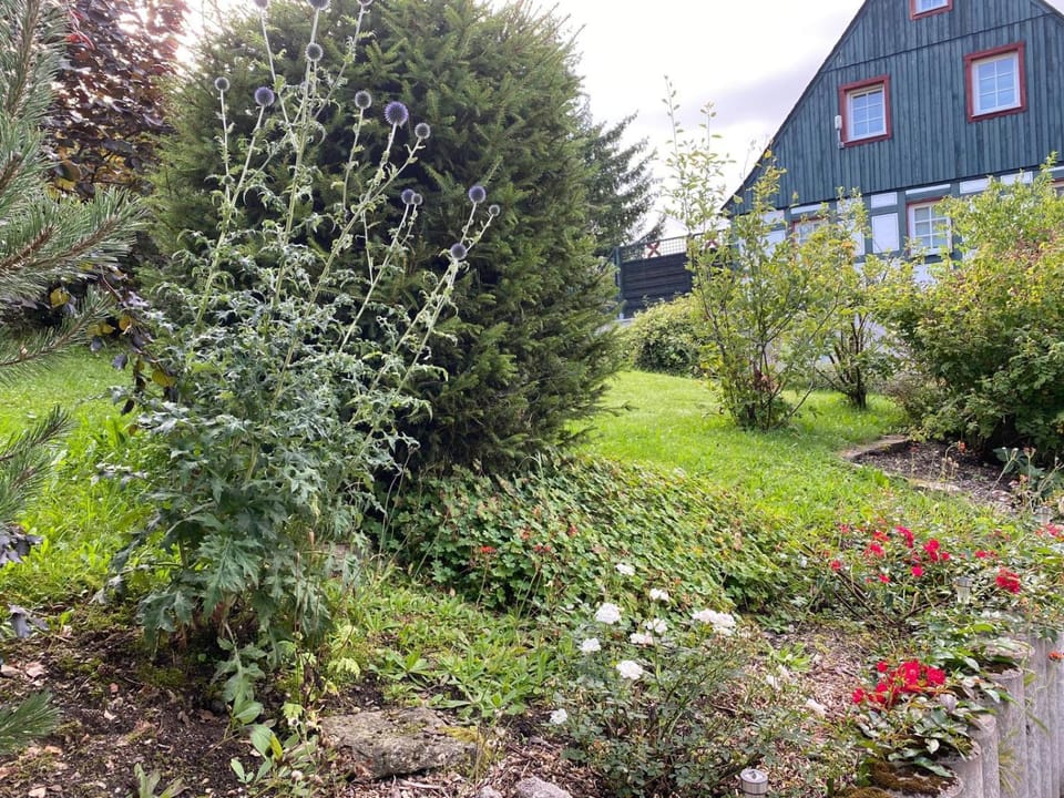 Spring, Day, Natural landscape, Garden, Garden view
