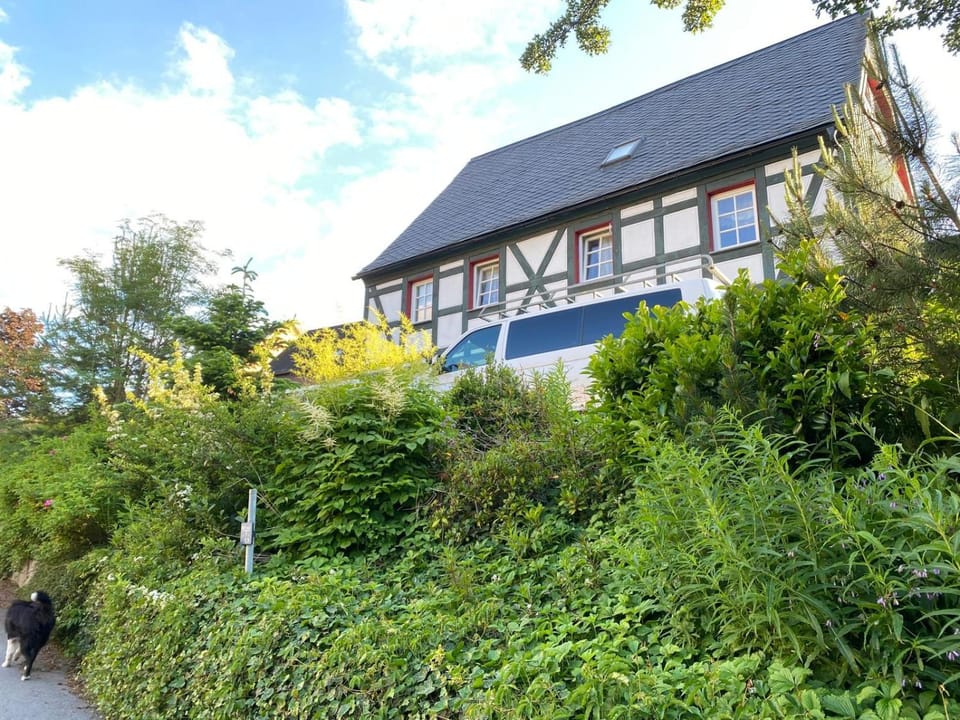 Property building, Spring, Day, Garden, Garden view
