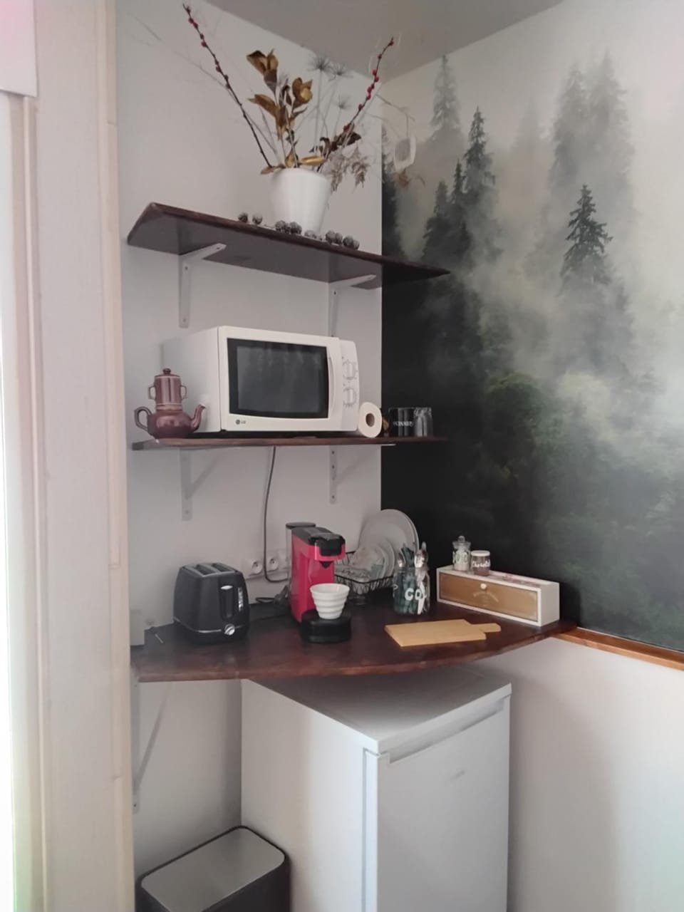 Coffee/tea facilities, toaster