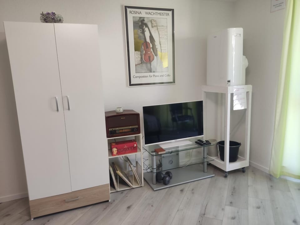 TV and multimedia