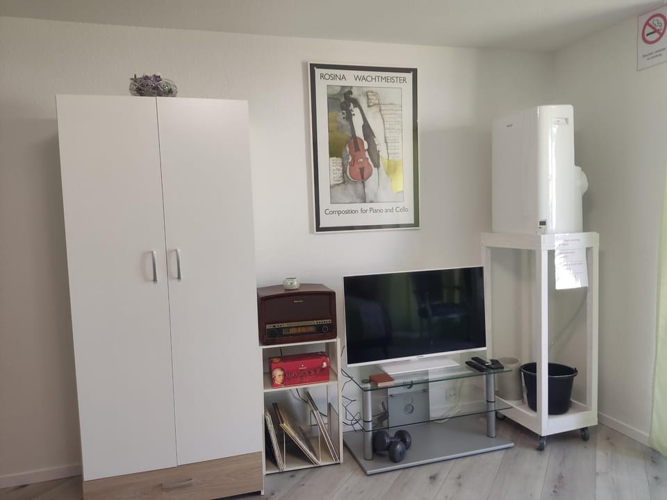 TV and multimedia