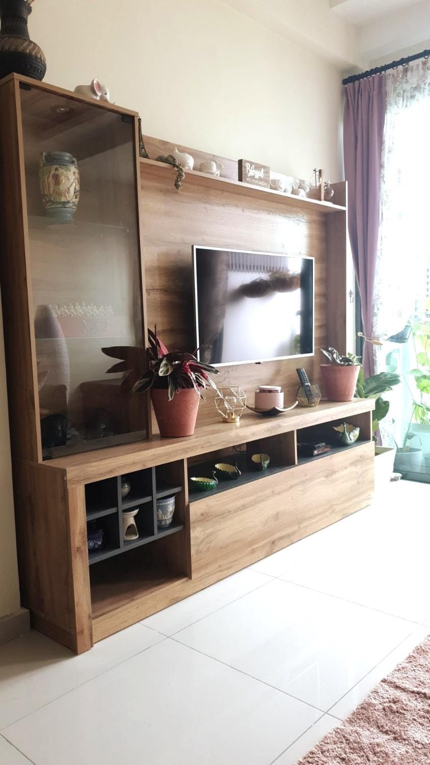TV and multimedia