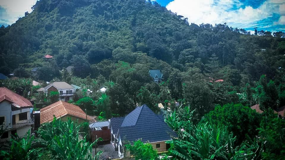 Property building, Natural landscape, Hiking, Mountain view