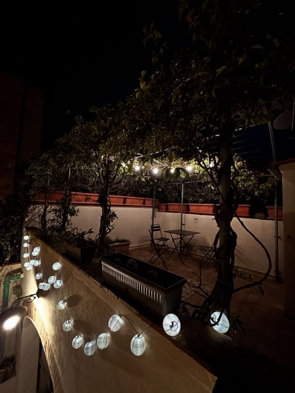 Night, Garden, Garden view
