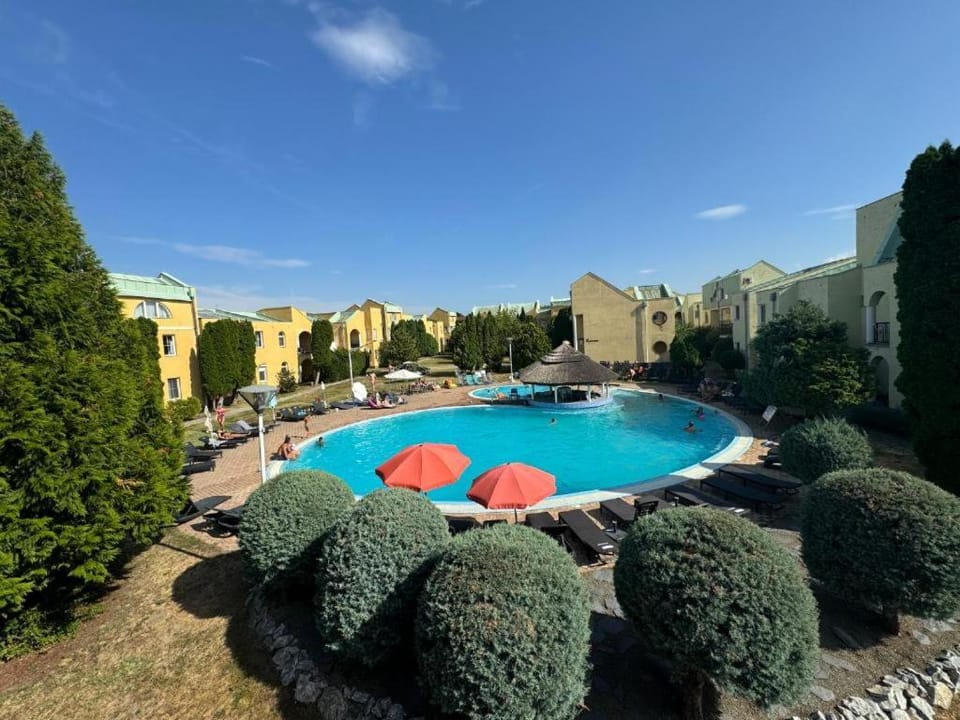 Lounge or bar, Garden view, Pool view, Swimming pool, sunbed