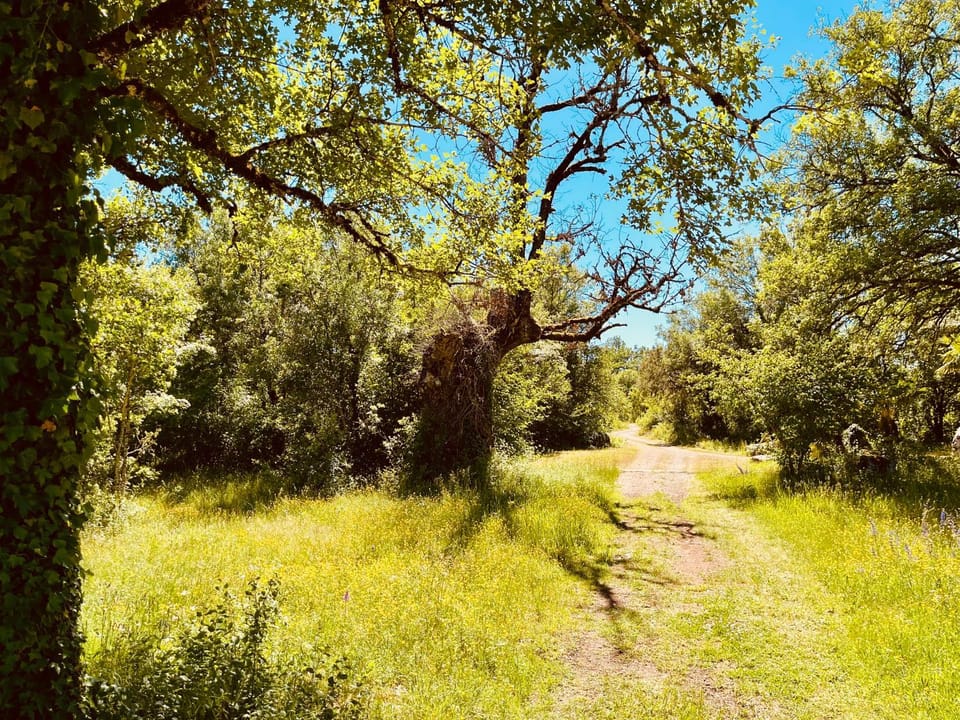 Natural landscape, Garden