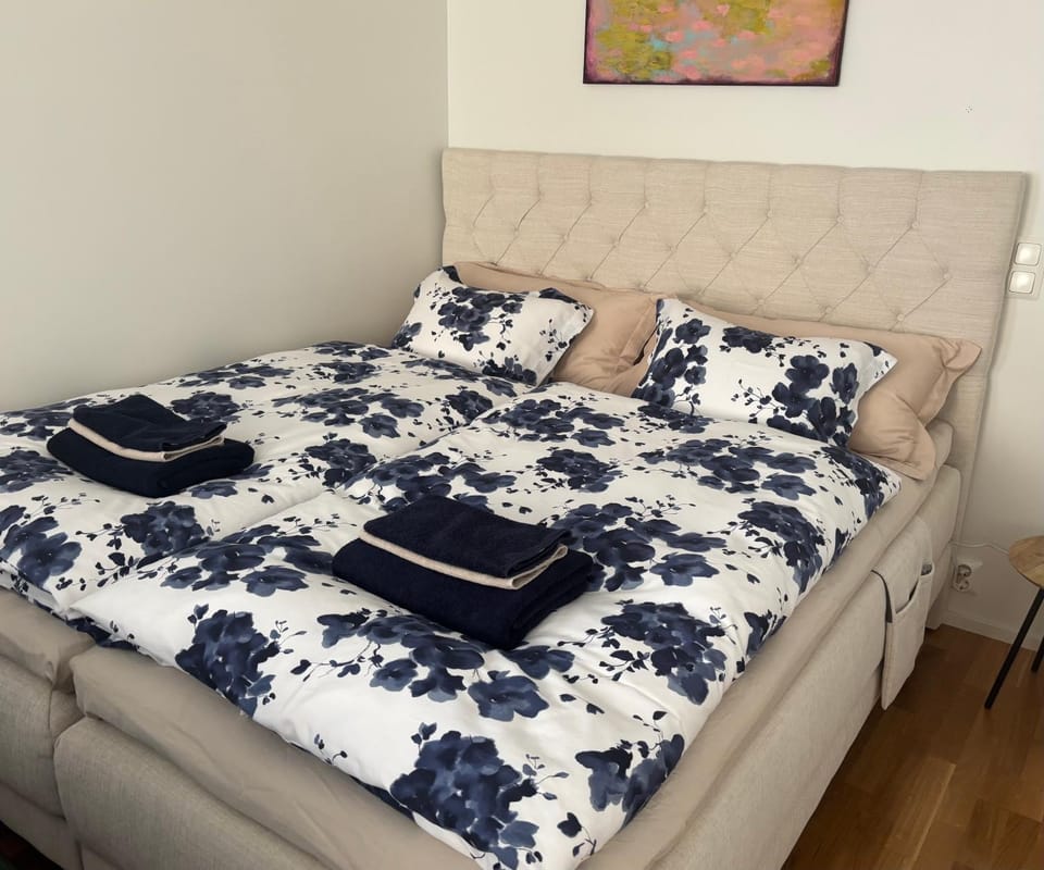 Comfy home, moottorisänky, kuivausrumpu Apartment in Finland
