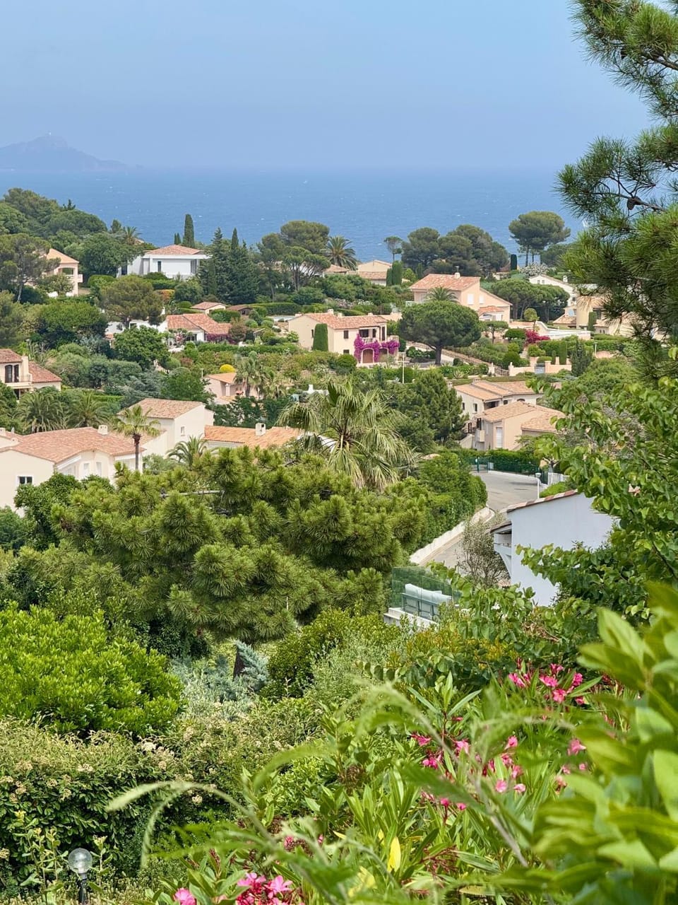 Sea view