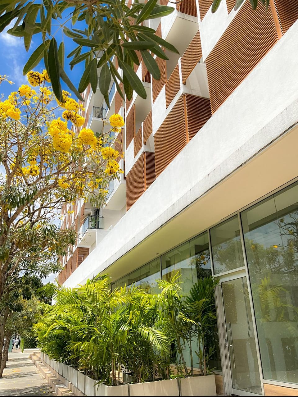Property building, Spring
