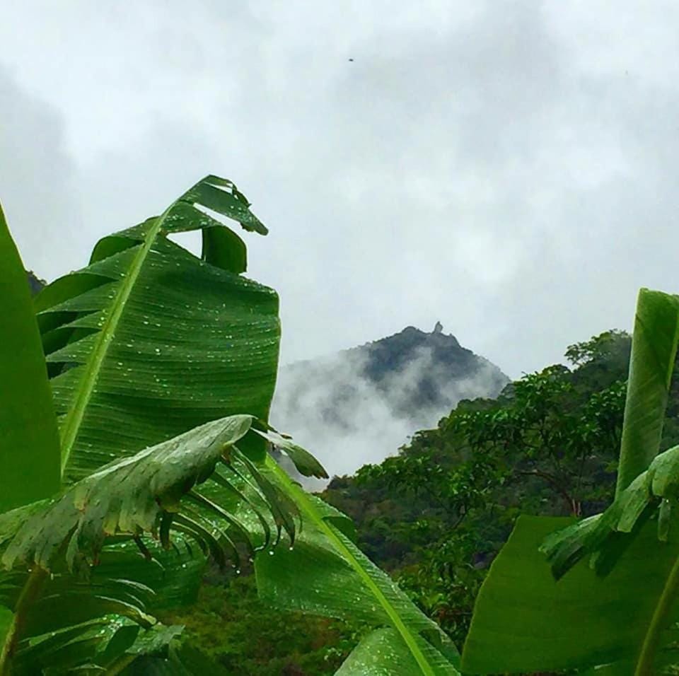 Pousada Verde Vista Bed and Breakfast in State of Rio de Janeiro