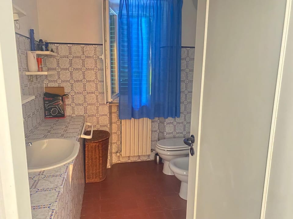 Toilet, Bathroom, bidet