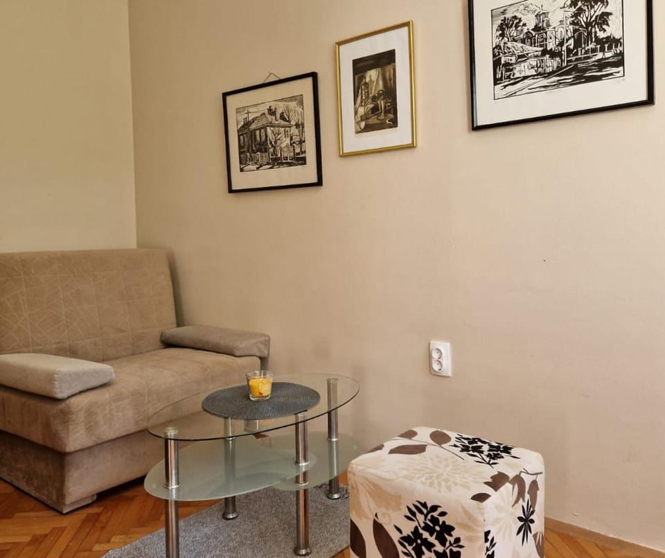 Apartmani Central Vrnjačka Banja Šetalište Apartment in Serbia