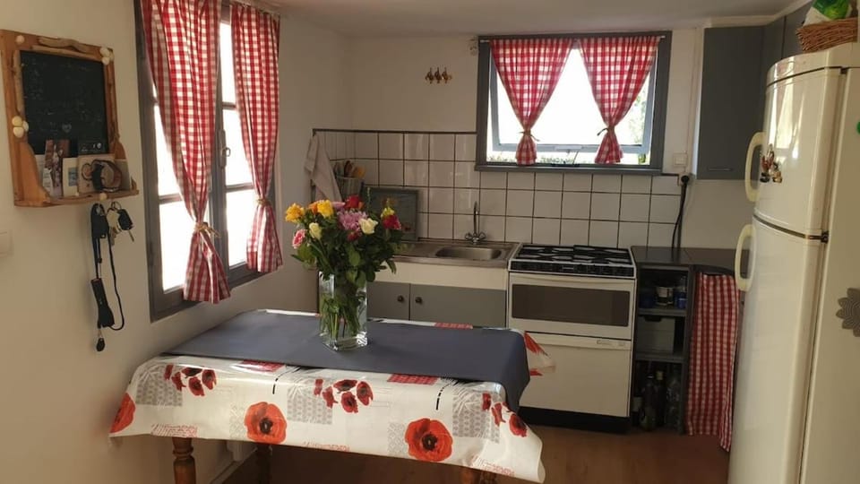 Kitchen or kitchenette, Dining area, oven, stove