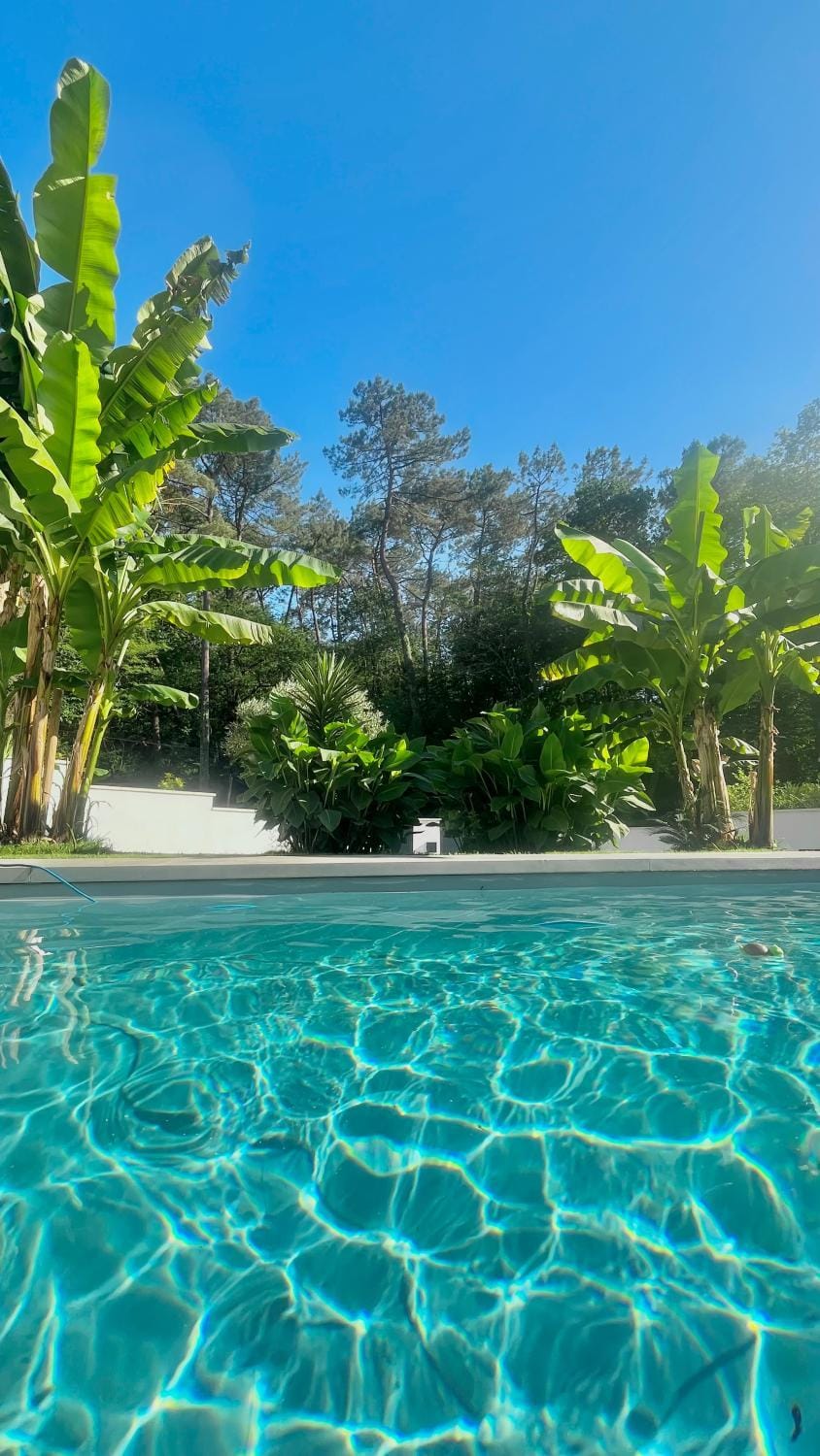 Natural landscape, Swimming pool