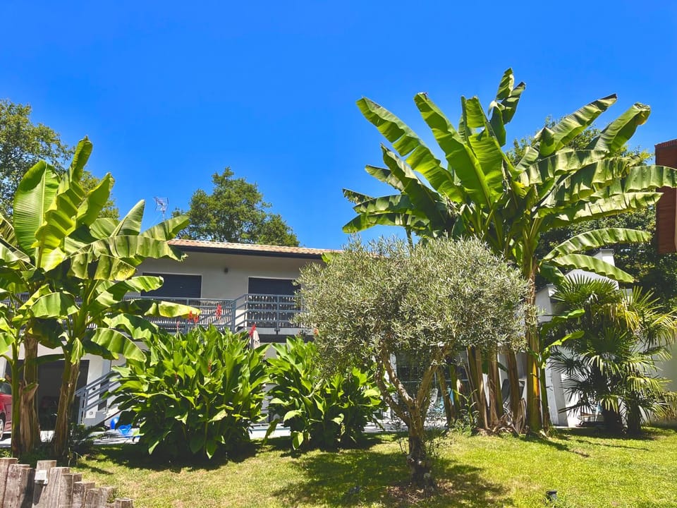 Property building, Day, Natural landscape, Garden, Garden view