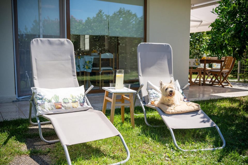 Patio, Day, Garden, sunbed