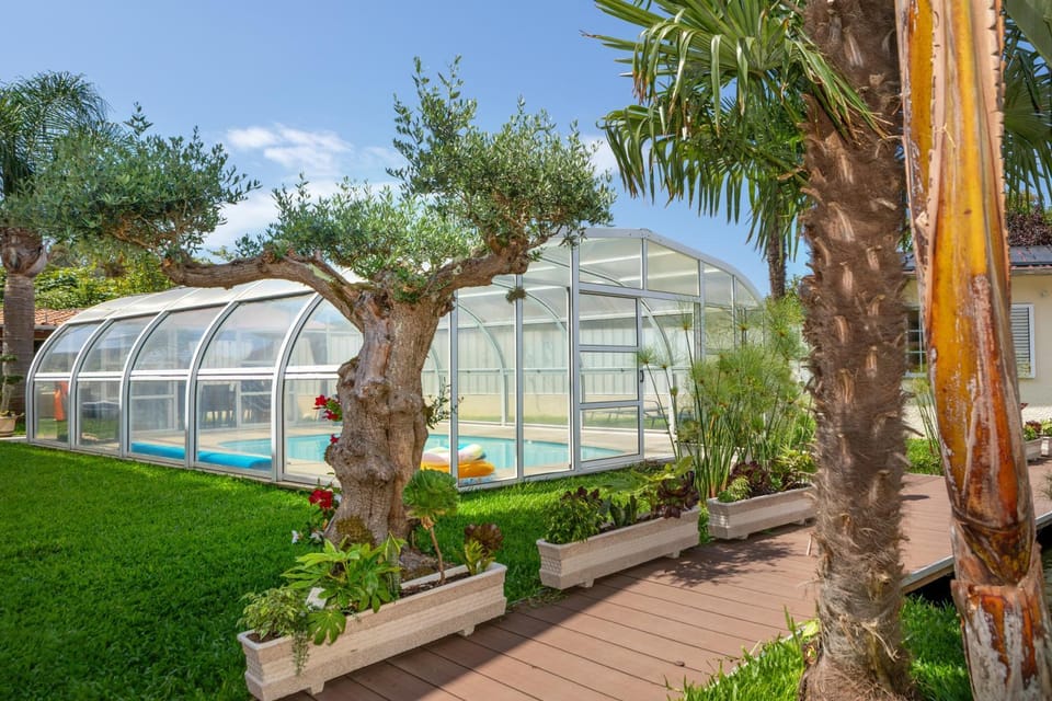 Garden, Garden view, Pool view, Swimming pool
