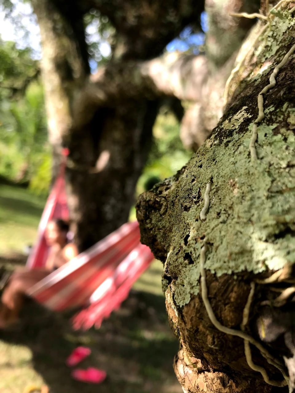 Venda da Minerva Campground/ 
RV Resort in State of Rio de Janeiro