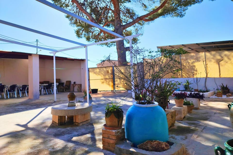Patio, Garden
