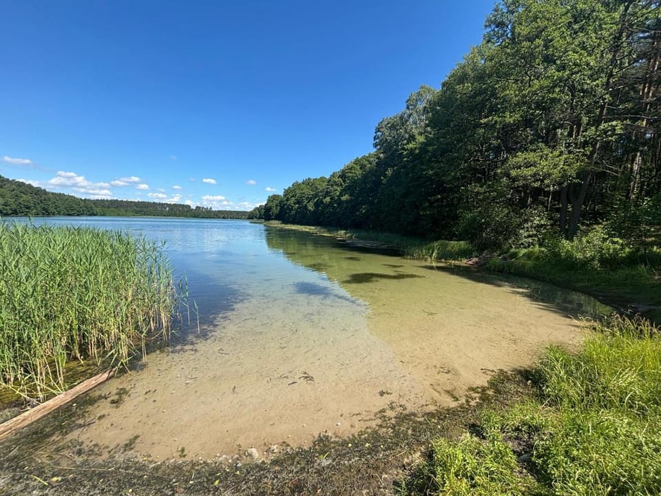 Natural landscape, Lake view