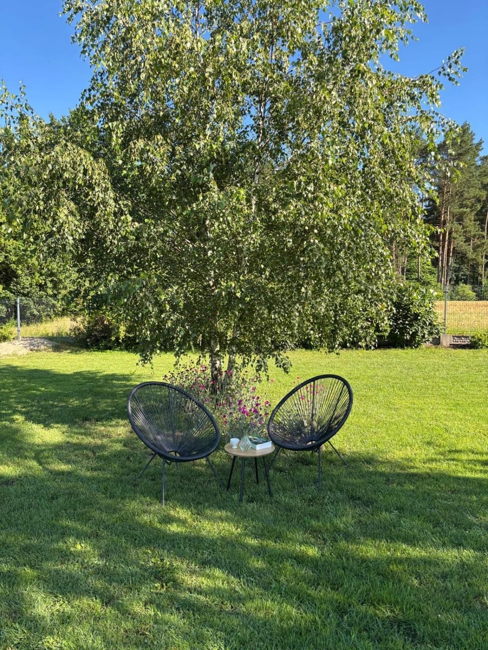 Natural landscape, Garden, Garden view