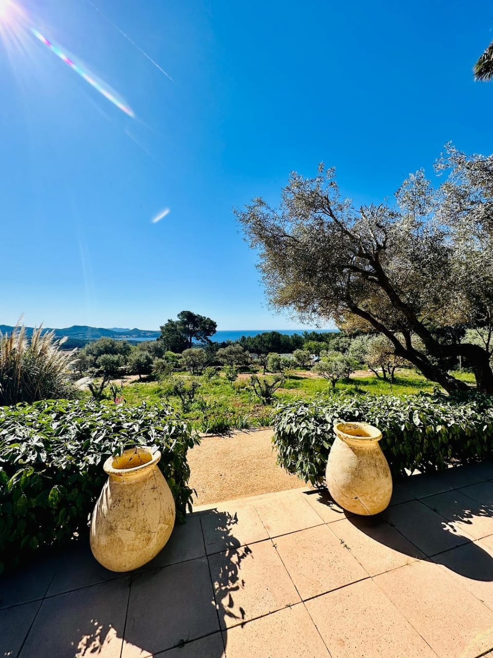 Natural landscape, Garden, Sea view