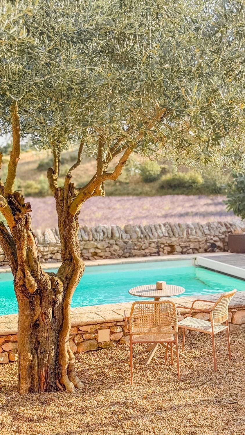 Natural landscape, Garden view, Pool view