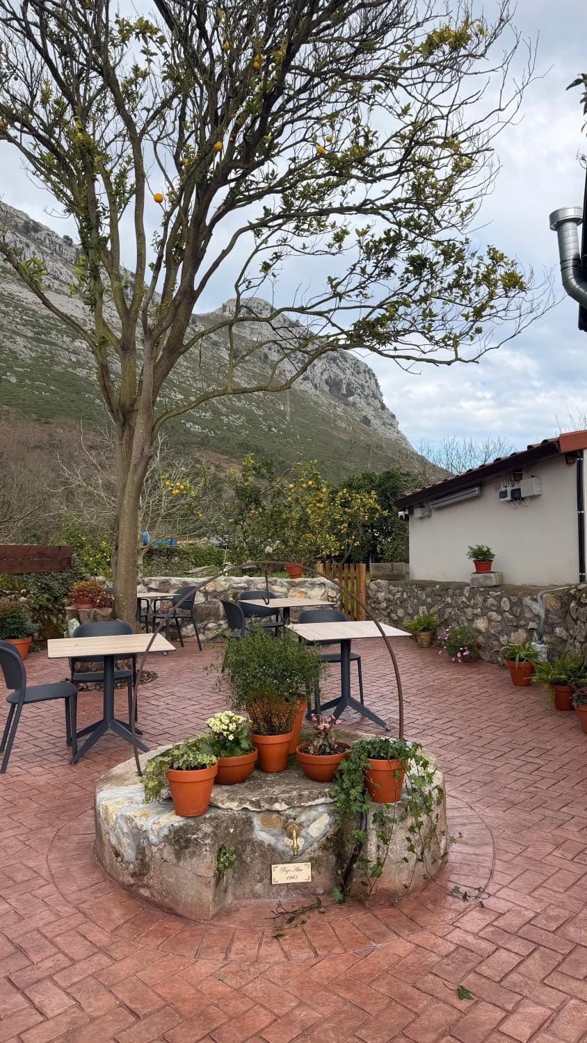 Patio, Natural landscape, Mountain view