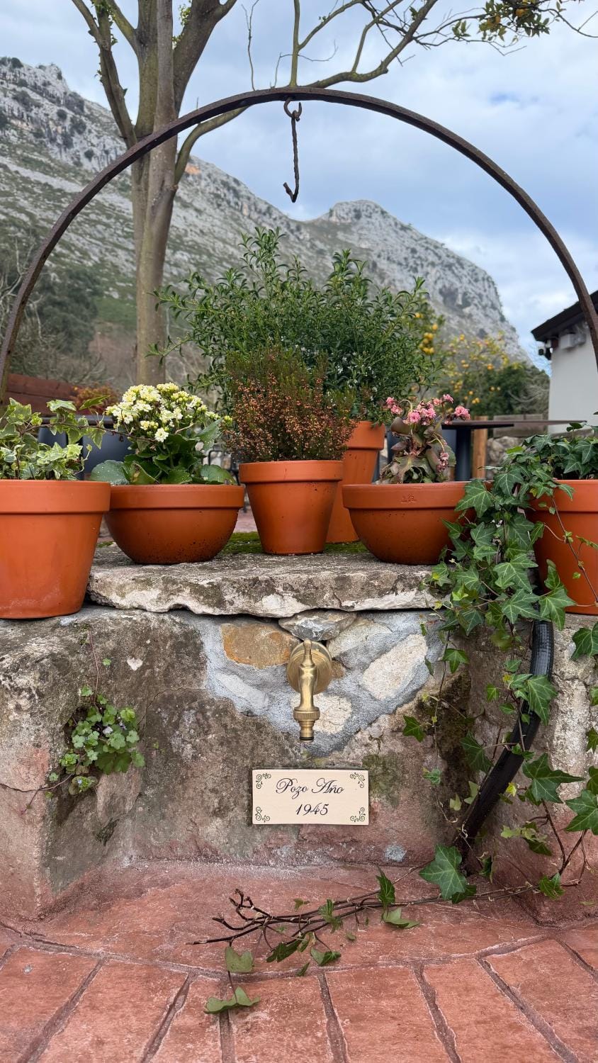 Garden, Mountain view