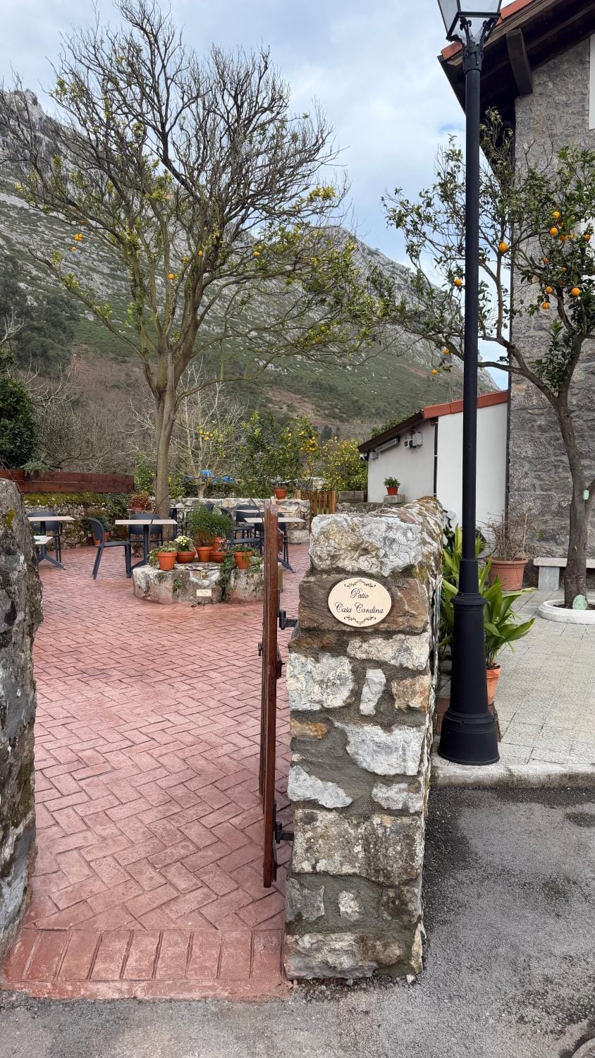 Patio, Mountain view