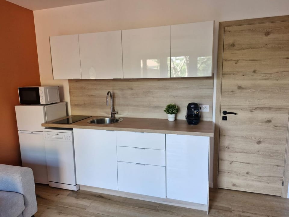 Coffee/tea facilities, Kitchen or kitchenette, stove, toaster