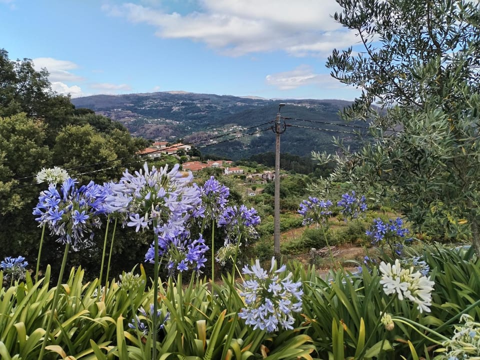 Belo Encanto do Paiva House in Porto District