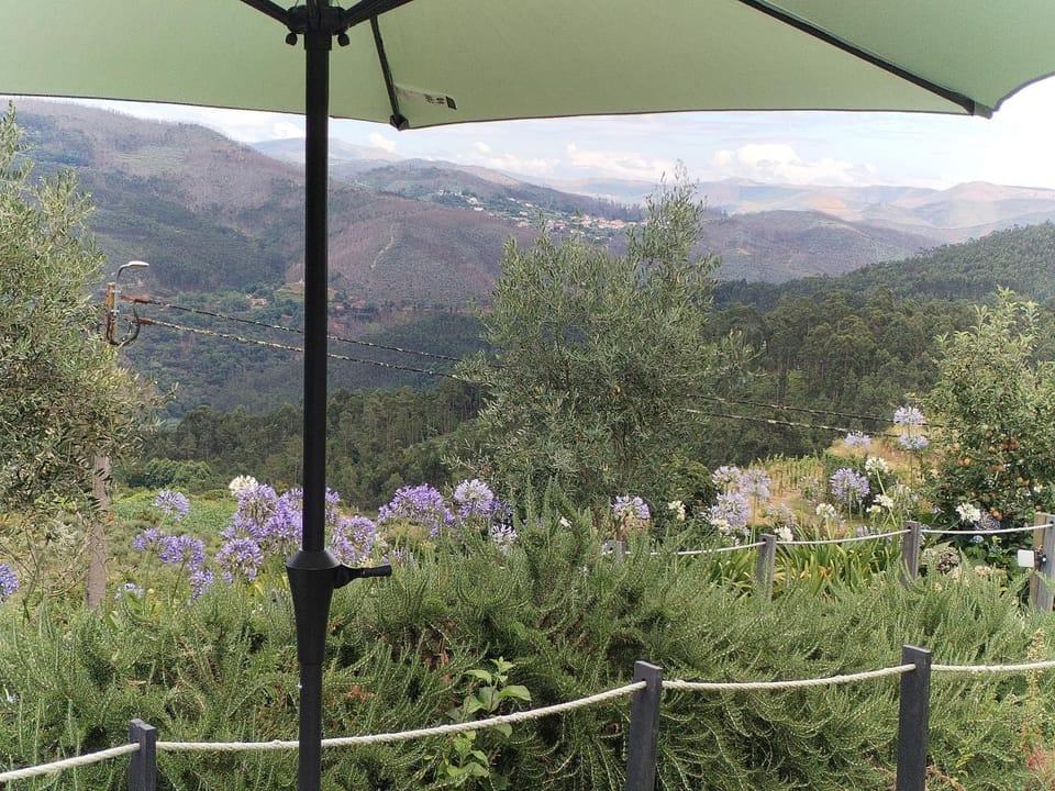 Belo Encanto do Paiva House in Porto District