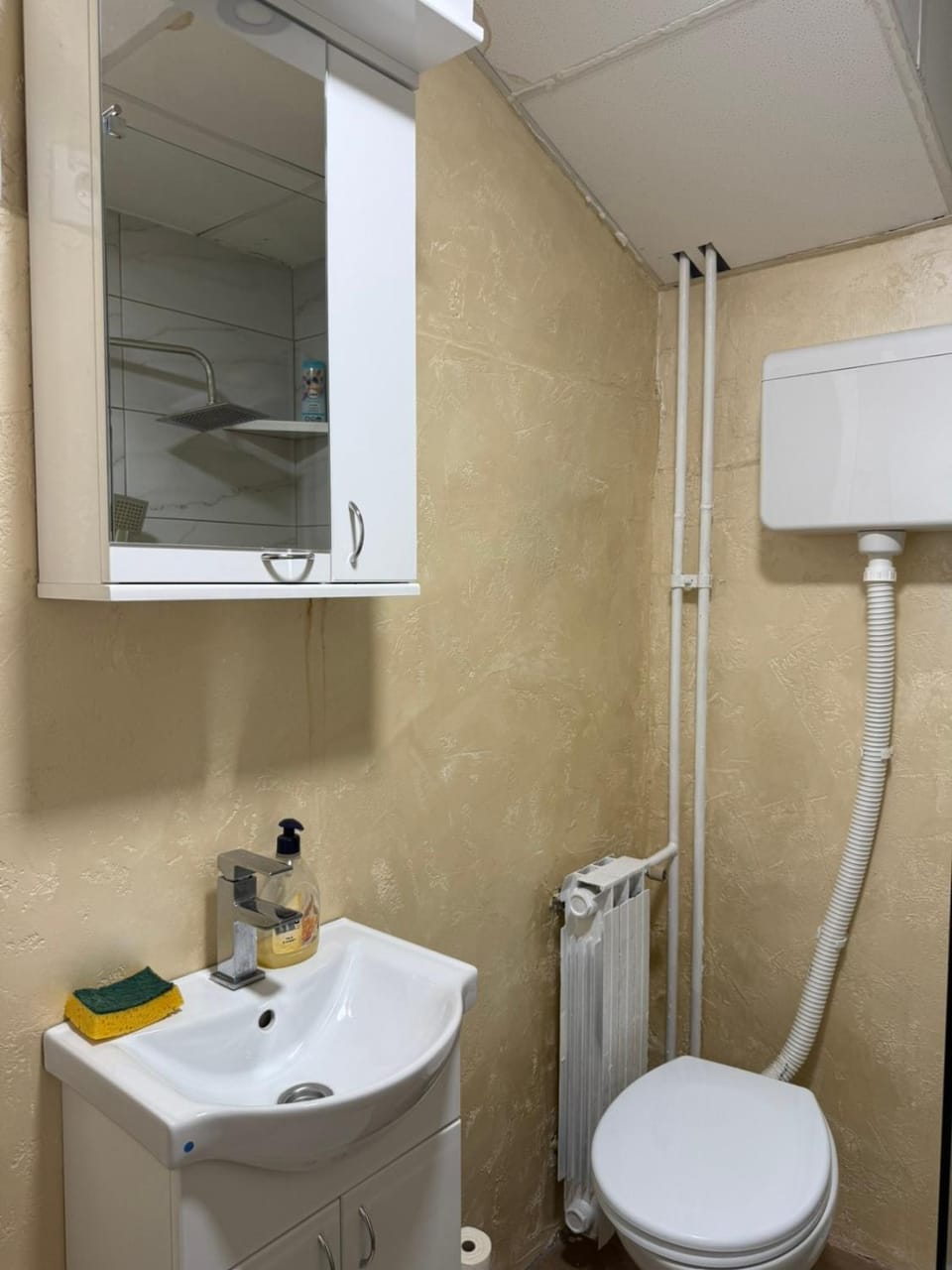 Dudino gnezdo Apartment in Serbia