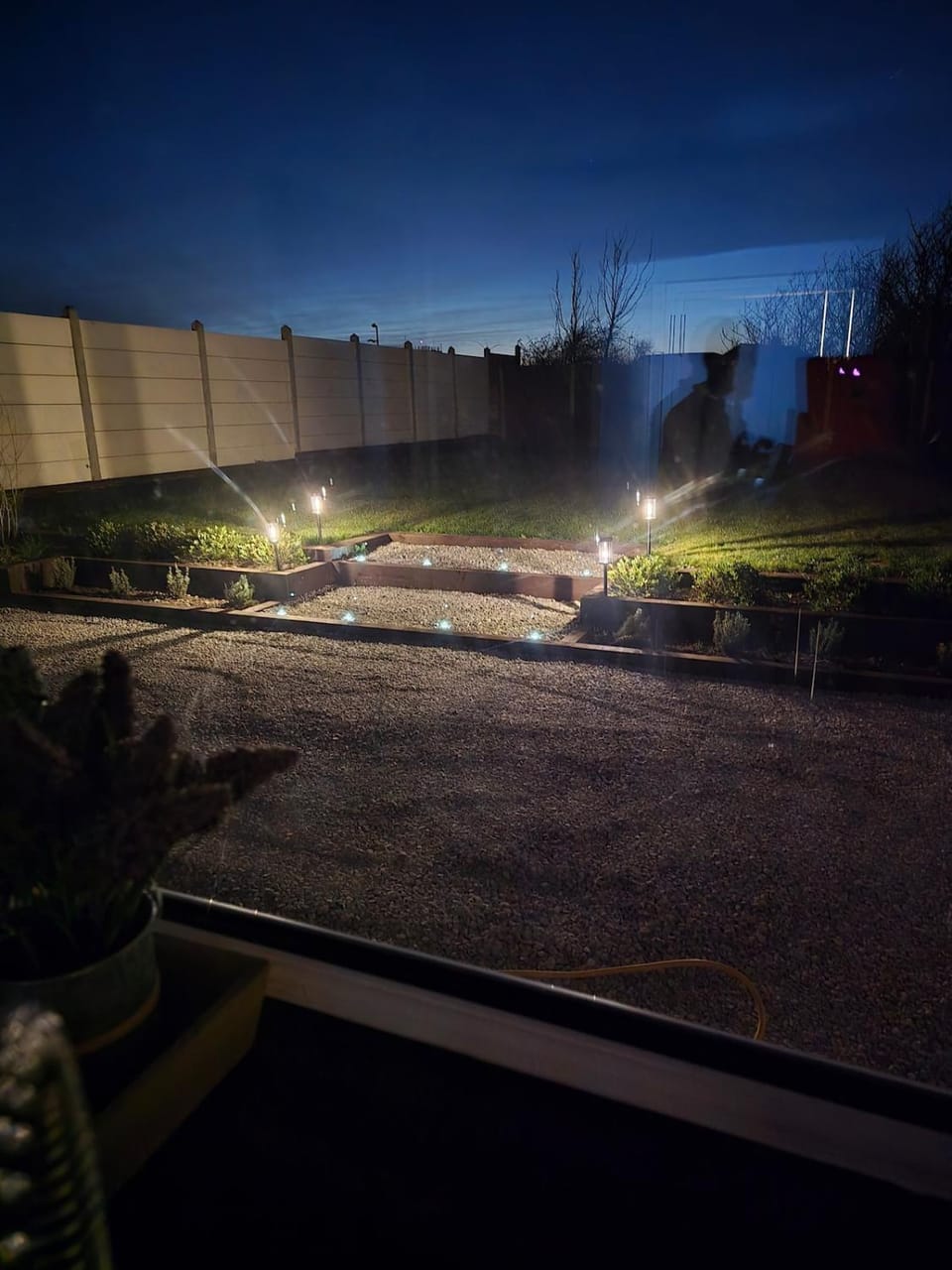 Night, Garden, Garden view