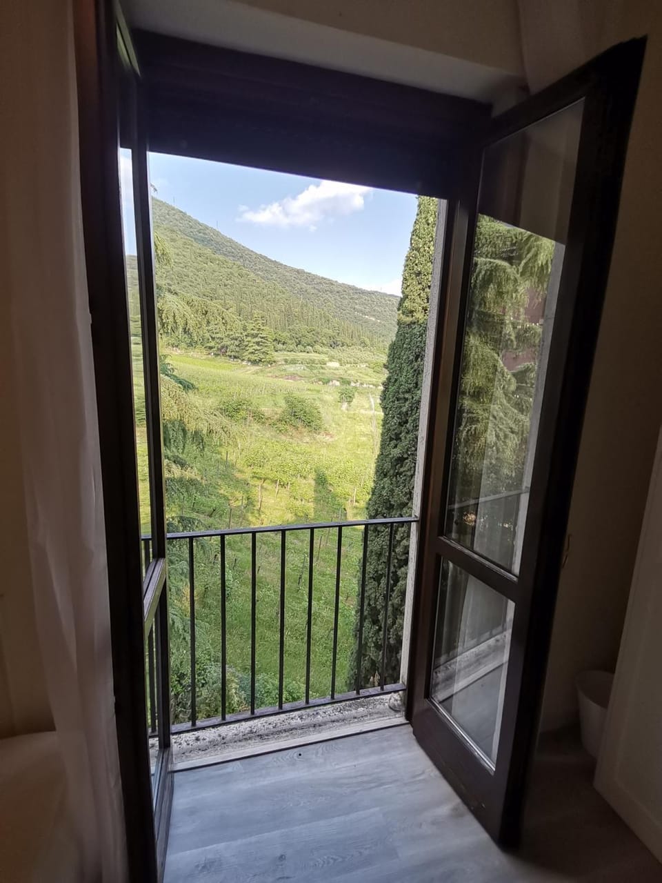 View (from property/room)