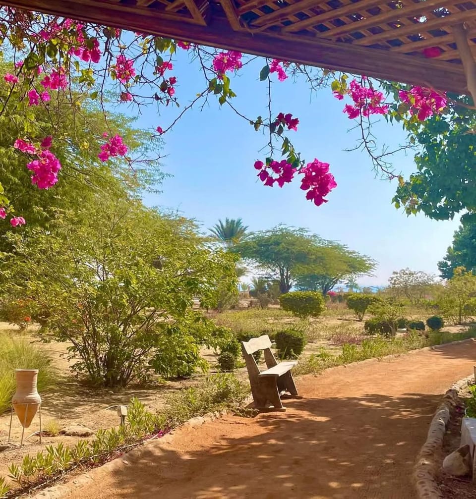 Garden view