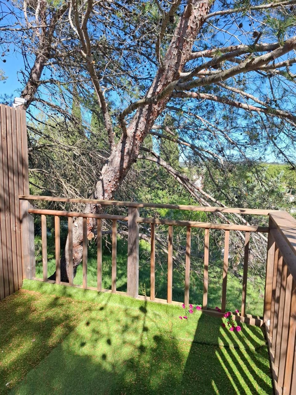 Garden view