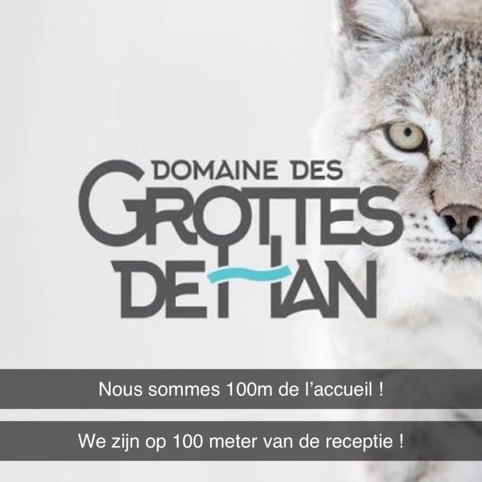 Chez Denis et Jenni à Han sur Lesse Apartment in Wallonia, Belgium